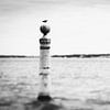 Mouette en mer à Lisbonne, Portugal | portrait nature brut en noir et blanc | photographie de voyage sur Willie Kers