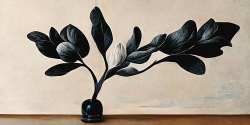 Black Magnolia