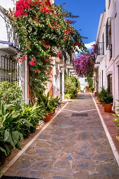 steegje in Marbella van Voss fotografie