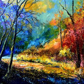 Meeting the fairies by pol ledent