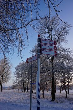 A guide to a white world