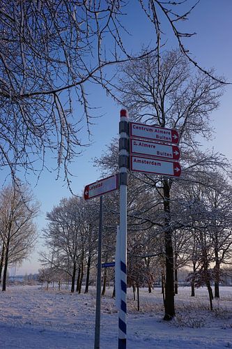 Wegweiser in einer weißen Welt