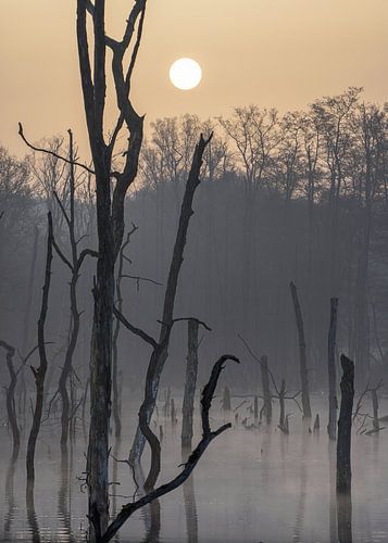 Pfingstsee, Bottrop, Noordrijn-Westfalen, Duitsland