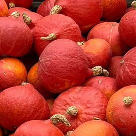Pumpkin after the harvest - Autumn fascination by Eric Nagel