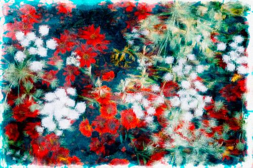 Zomerbloemen weide