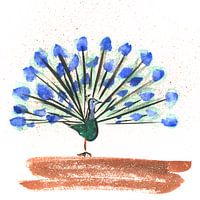 The Peacock