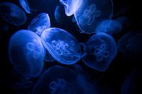 Licht in der Dunkelheit