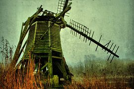 Broken Pride von Rob Kuijper