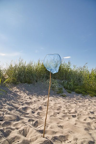 Blue landing net with wooden pole on a sandy beach with blue sky. by Martin Köbsch