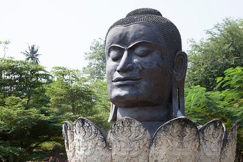 Buddha head in Flower