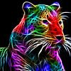 die Farbe Leopard von Bert Hooijer
