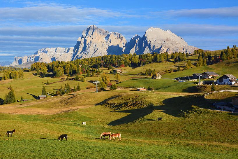 Blick von Compatsch auf die Seiser Alm von Gisela Scheffbuch