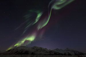 Aurora Borealis - Noorderlicht op de Lofoten van Dieter Meyrl