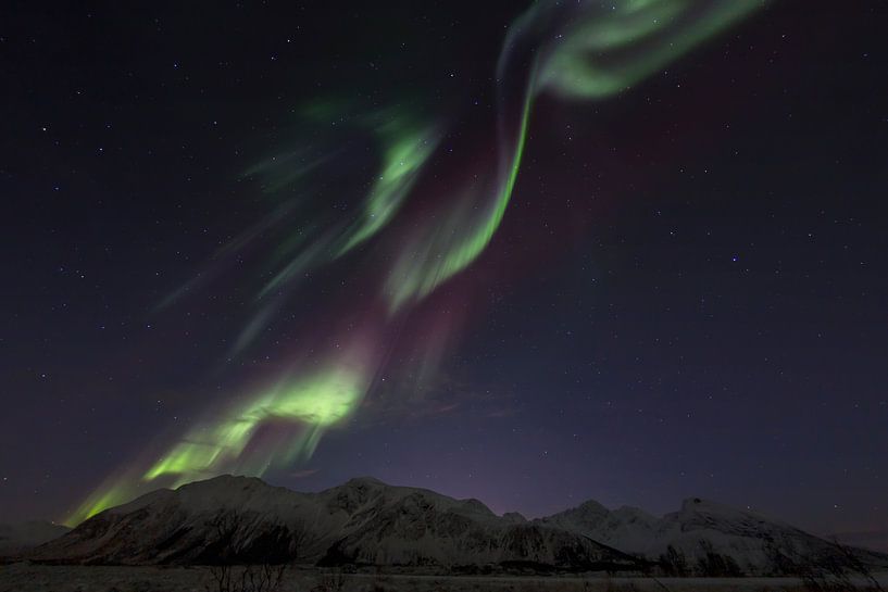 Aurora Borealis - Northern Lights on the Lofoten Islands by Dieter Meyrl