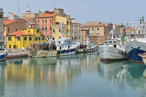 The harbour at Chioggia, with fishing boats and colourful buildings
