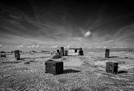 Dungeness