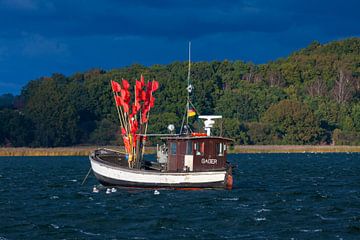 Vissersboot Reddevitz van Sven-Erik Arndt