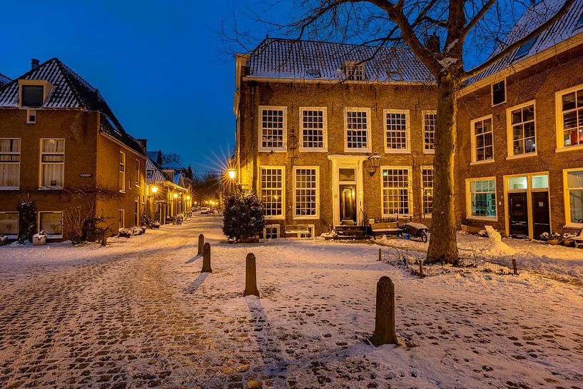 Pieter Quarter, Leiden by Carla Matthee
