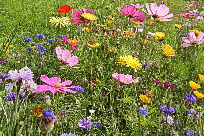 Blumenbeet von Joke te Grotenhuis