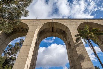 Standing Very Tall - Cabrillo Bridge by Joseph S Giacalone Photography