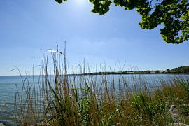 Marina Goor - Lauterbach, Ruegen