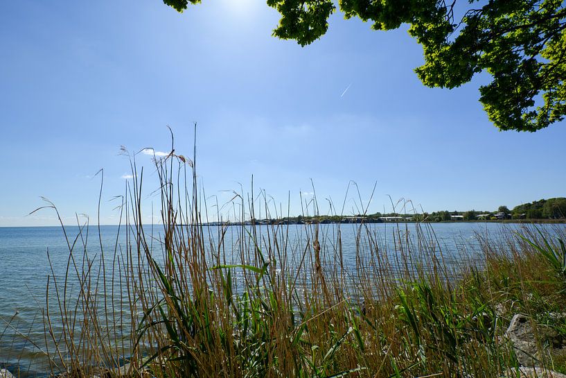 Yachthafen Marina Goor - Lauterbach, Rügen von GH Foto & Artdesign