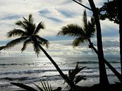 Uitzicht met palmbomen en zee in Costa Rica  van Maartje Abrahams thumbnail