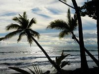 Uitzicht met palmbomen en zee in Costa Rica 