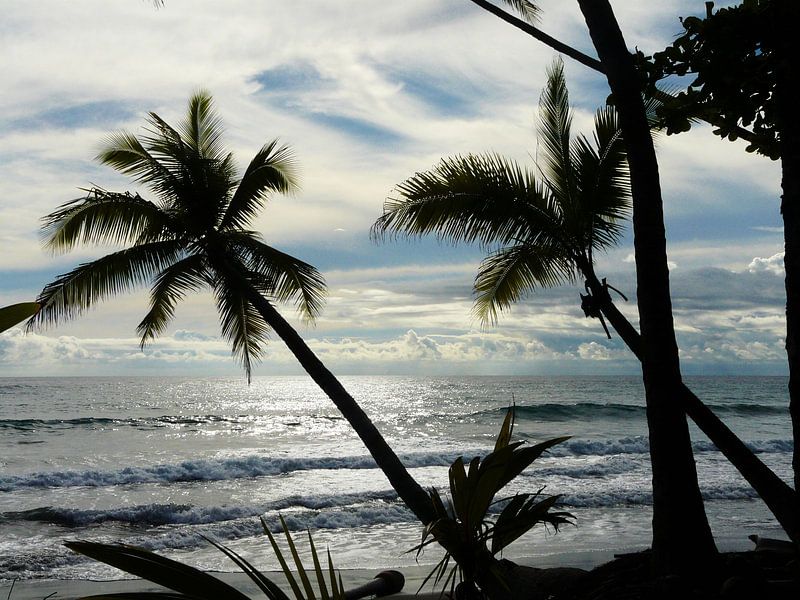 Uitzicht met palmbomen en zee in Costa Rica  van Maartje Abrahams
