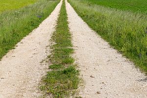 Gerader Schotterfeldweg in Deutschland
