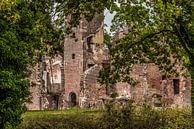 Ruïne Kasteel Bleijenbeek van Ans Bastiaanssen thumbnail
