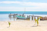 A boat at a pier on Caye Caulker in Belize von Michiel Ton Miniaturansicht