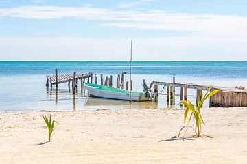 Een boot aan een pier op Caye Caulker in Belize van Michiel Ton