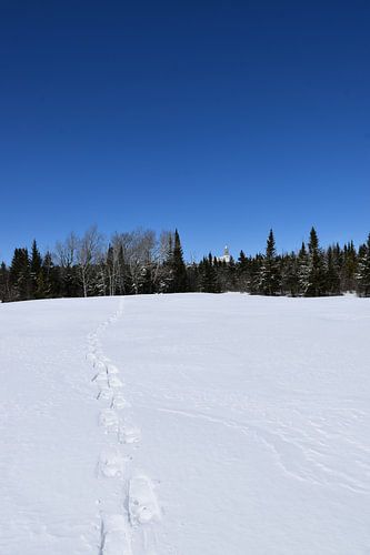 Sneeuwschoensporen in een veld in de winter