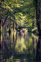 View into the Spreewald