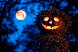 Halloween pompoen onder volle maan van Poster Art Shop