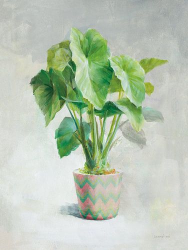 Greenhouse Palm I Chevron Pot, Danhui Nai