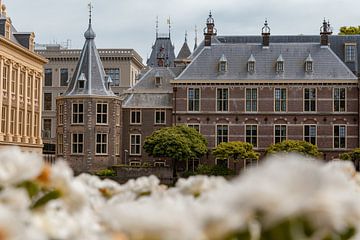 Het torentje - Den Haag van Eline Huizenga