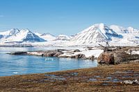 Spitzbergen - Svalbard - Arktis im Sommer