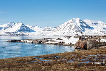 Spitsbergen - Spitsbergen - Noordpool in de zomer van Gerald Lechner