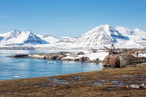 Spitsbergen - Spitsbergen - Noordpool in de zomer