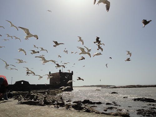 Strand, Essaouira Marokko