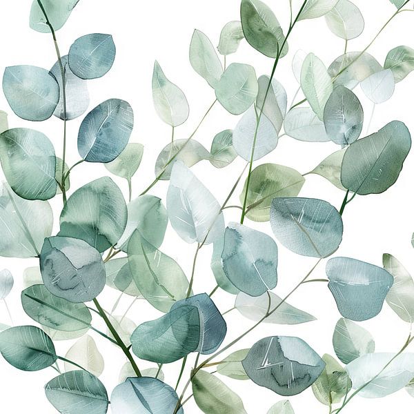 Eucalyptus by Poster Art Shop