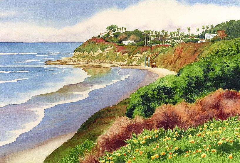 Strand bei Swami&#039;s Encinitas von erikaktus gurun