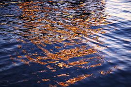 Lake Constance by Thomas Jäger