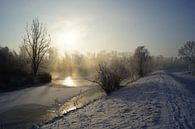 Hollandse Biesbosch in de winter van Michel van Kooten thumbnail