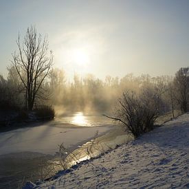 Hollandse Biesbosch in de winter van Michel van Kooten