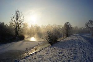 Hollandse Biesbosch in de winter von Michel van Kooten