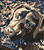Dog Tristan
