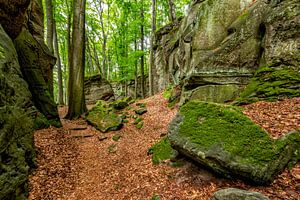 Mullerthal Trail I